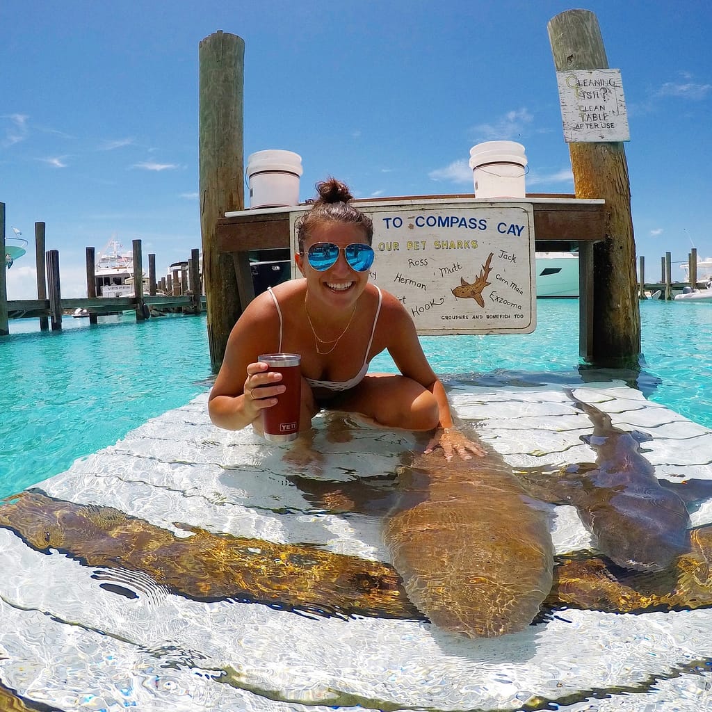 Swim with Sharks, Compass Cay-Things to do in the bahamas