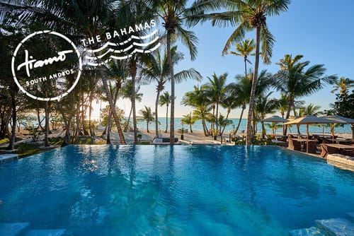 Best Hotels in The Bahamas-Tiamo
