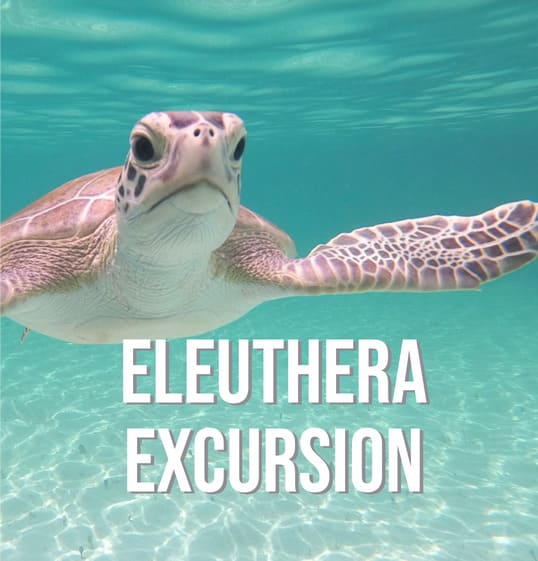 Eleuthera Day Excursion | Float Your Boat Bahamas