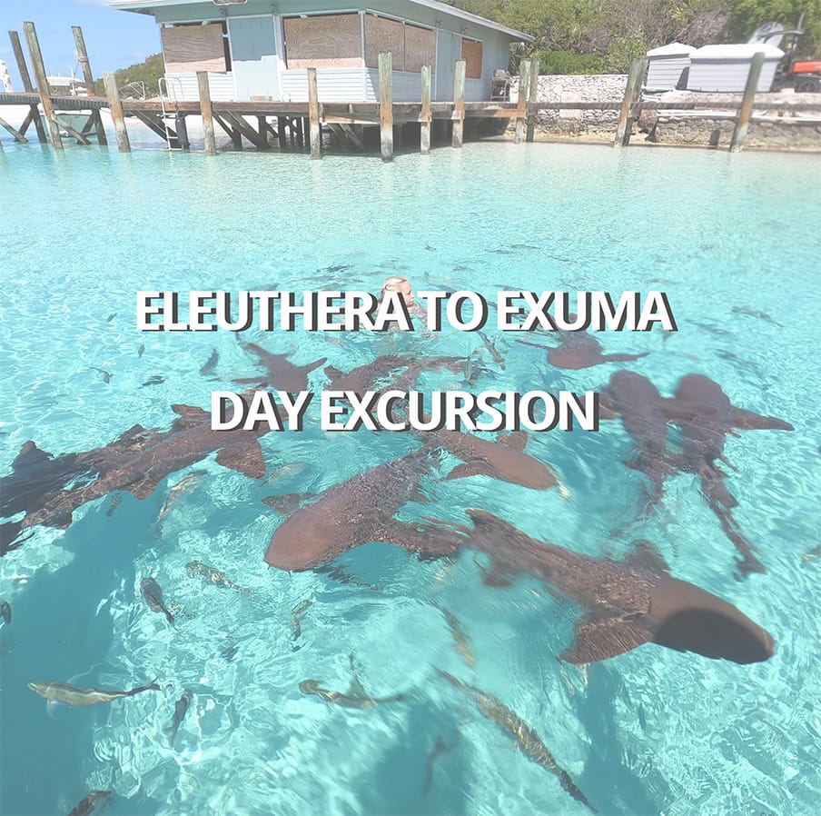 Eleuthera to Exuma Day Excursion