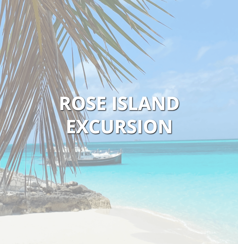 Book a Rose Island, Bahamas Excursion with Float Your Boat Bahamas - The Bahamas Tours & Excursions Booking Experts