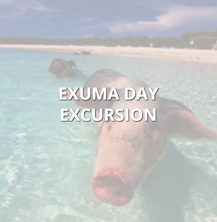 Book an Exuma, Bahamas Excursion with Float Your Boat Bahamas - The Bahamas Tours & Excursions Booking Experts